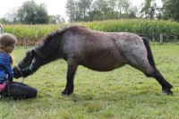 /album/la-horsemanship/img1517887592-jpeg/